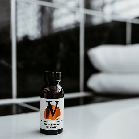 Victoria 3* 버겐안지