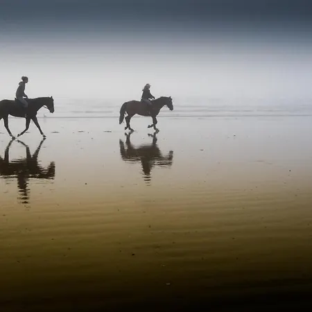 Victoria 3* Bergen aan Zee